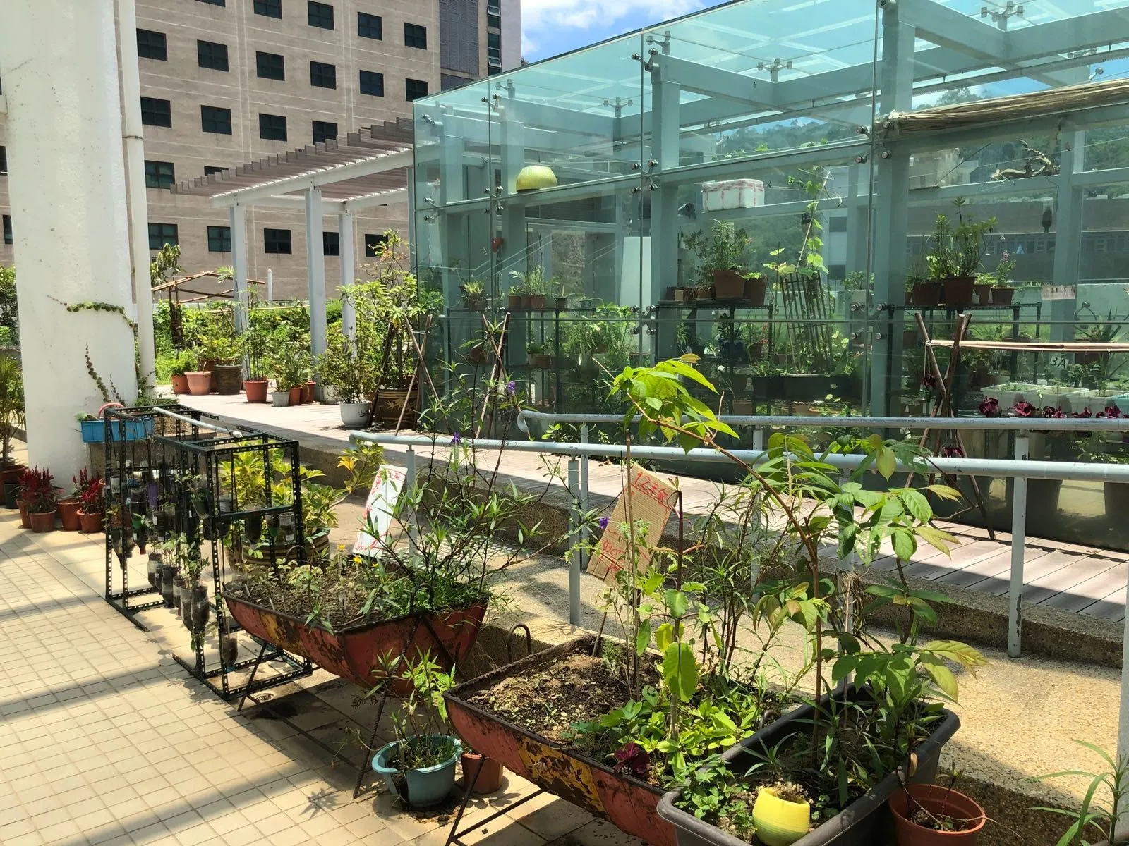 香港浸會大學附屬學校王錦輝中小學小一簡介會。