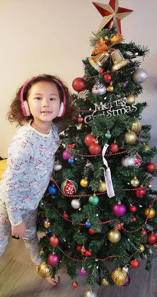 陳豪兒子讀新加坡國際 郭可盈徐淑敏女兒是校友 朱茵女兒讀呢間