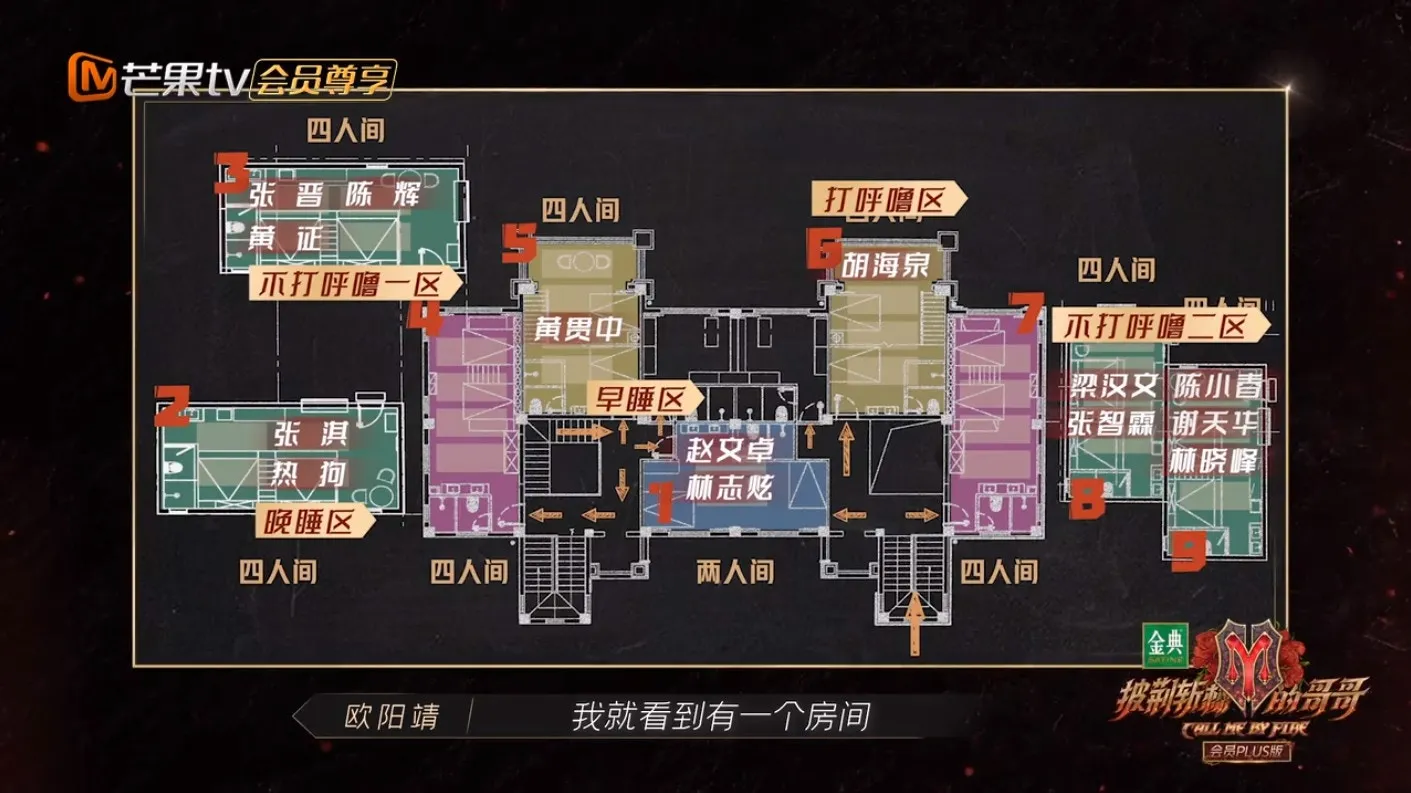 各個不同區域。（視頻截圖）