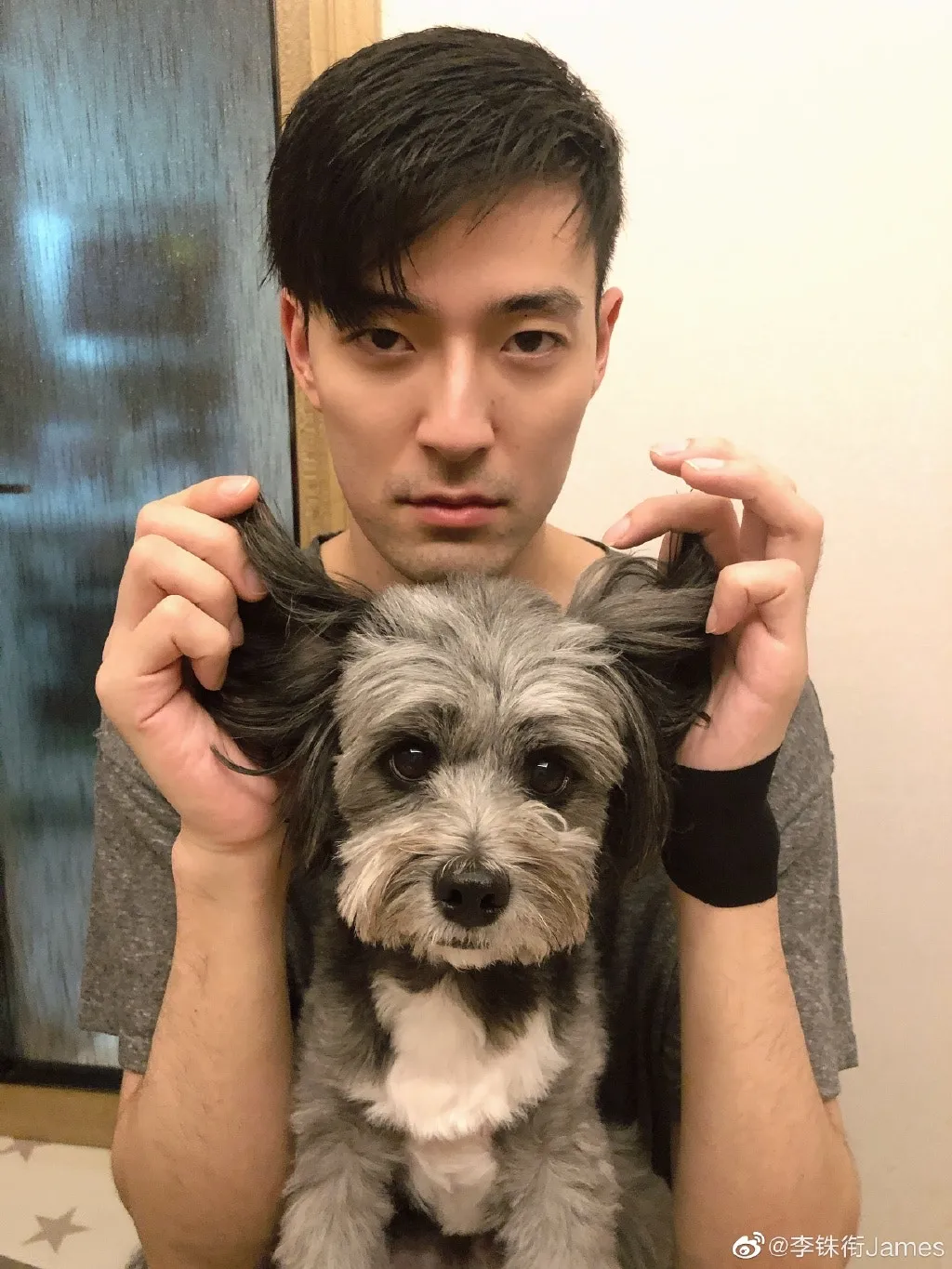 James與愛犬。（微博@李銖銜James）