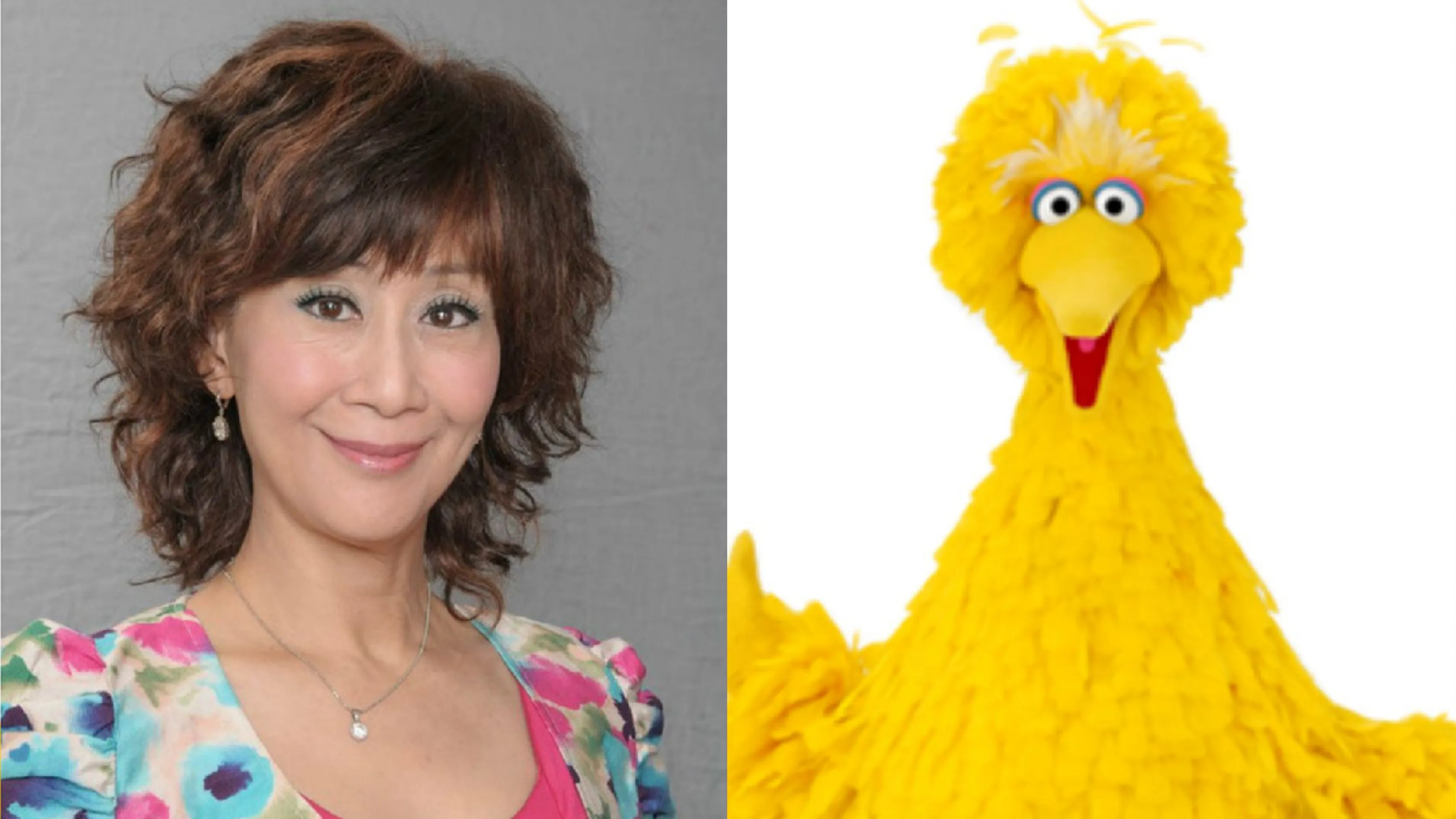 陳曼娜 & 《芝麻街》Big Bird（網上圖片）