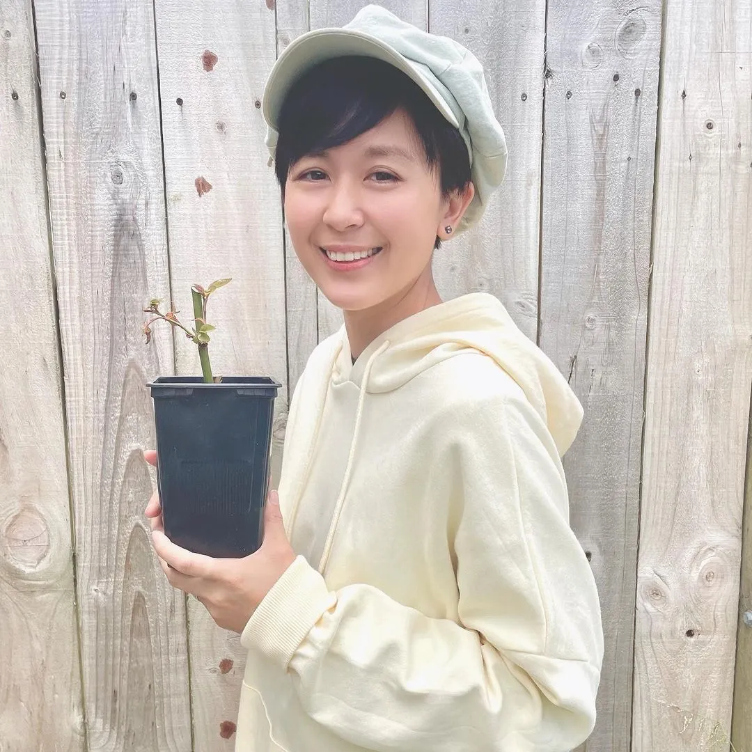 唐寧的新髮型。(唐寧ig)