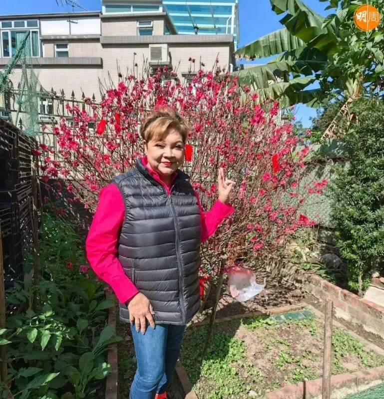 肥媽自稱獲家駒遺作為自己寫歌 黃家強FB發火怒斥：都是謊言！