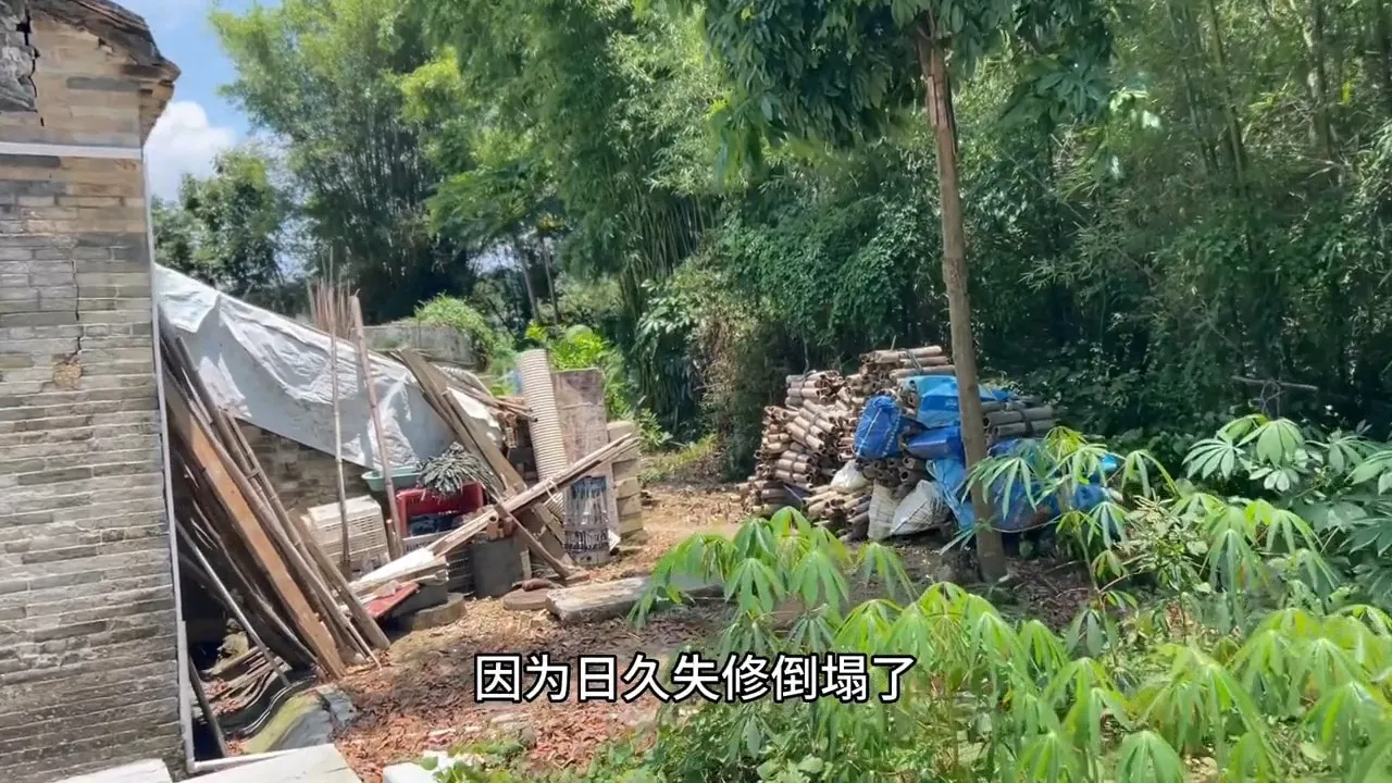 黃家駒祖屋。（影片截圖）