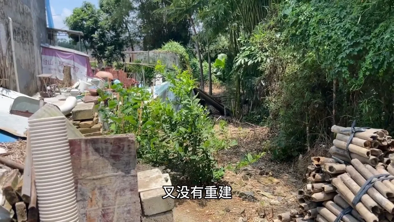 黃家駒祖屋。（影片截圖）