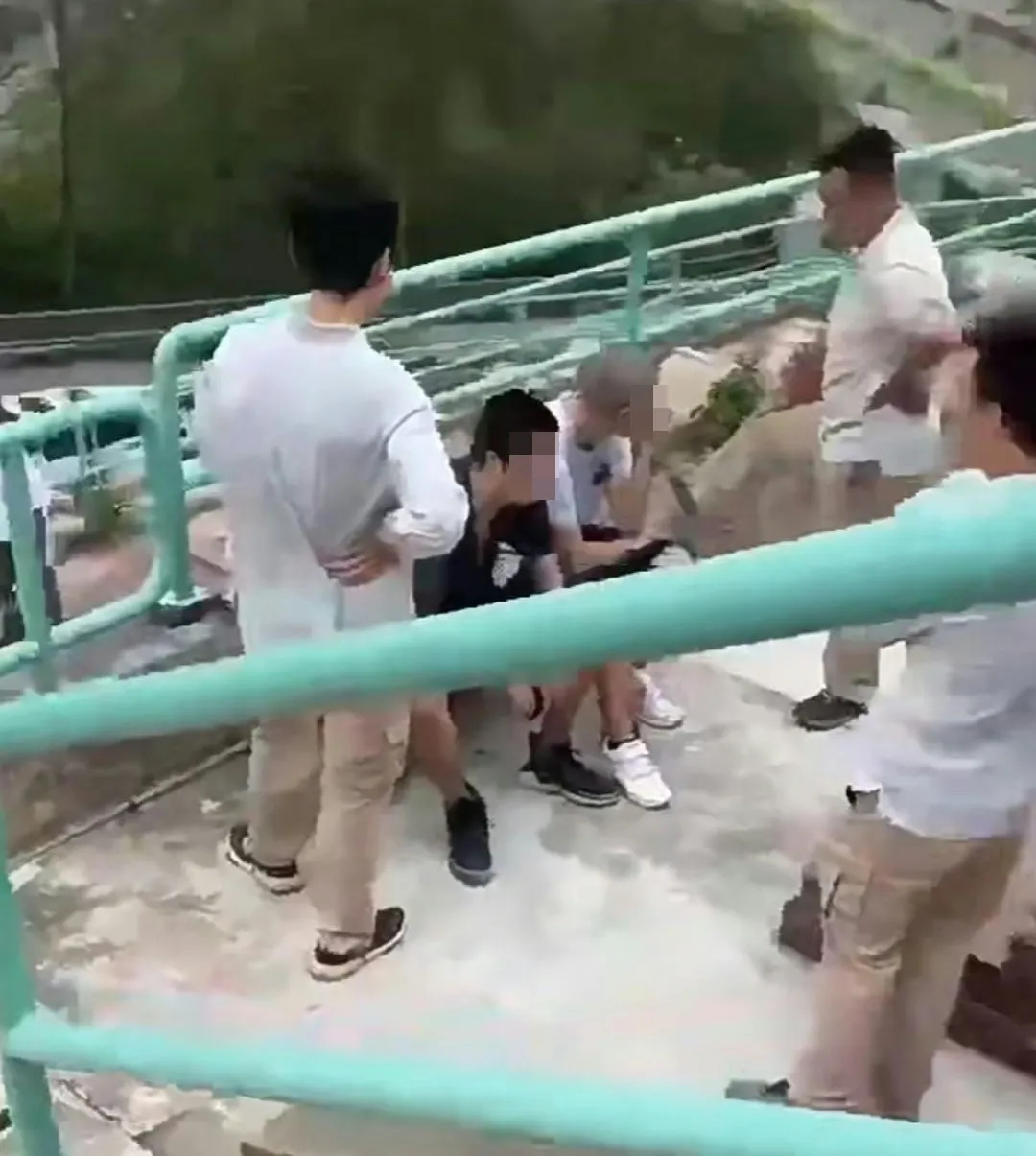 涉案兩人毀壞黃家駒墳墓後，當場就擒。（網上影片截圖）